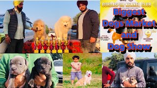 Biggest Dogs Market & Dog Show in Batala Gurdaspur #punjab #dog #puppies #viral #trending