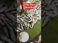 Dynamite Boom and Electric Fishing #viralvideo #traditional #fishingvideo #shorts #highlights