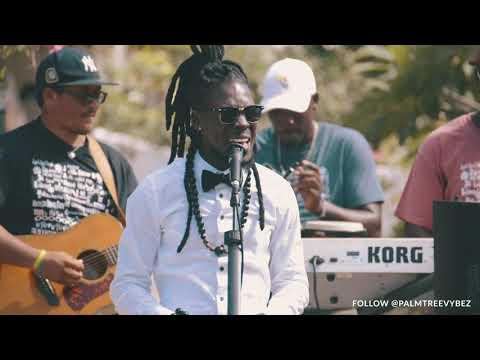 The Palm Tree Corner S2 EP 7: Terra D Governor - Gratitude