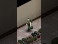 Улучшаем рюкзаки, обзор мода / / Project Zomboid