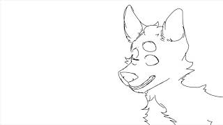 a wip video