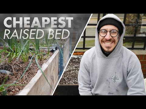 Vidéo: Qu'est-ce qu'un lit Hugelkultur - Créer des lits de jardin Urban Hugelkultur