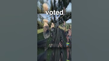 This is the Weirdest Server in Rust...