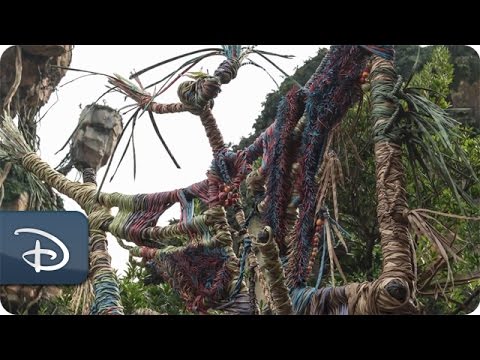 ‘Placemaking’ Pandora - The World of Avatar | Disney&#039;s Animal Kingdom