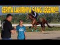 SAKSI LAHIRNYA KUDA PACU HEBAT !!! KUDA LEGEND YANG BERNAMA SAUD VERSI MAS TONY SANG PERAWAT SAUD !!