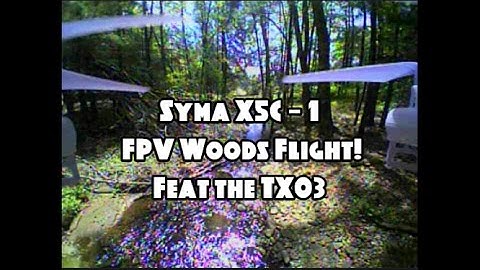 Syma X5C - 1 | FPV Catskill NY Woods Flight! Feat the TX03 (BANGGOOD)