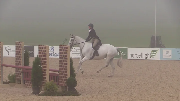 Dreamliner ridden by Amy Lowrey |  $10,000 USHJA P...