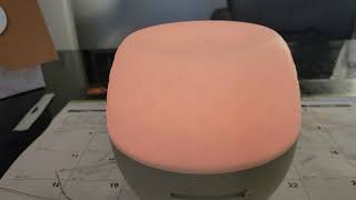 Scentsy Fleur Gray Deluxe Diffuser!