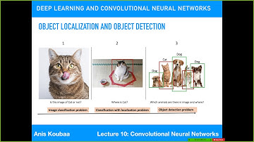 [CS489] Object Detection Algorithms