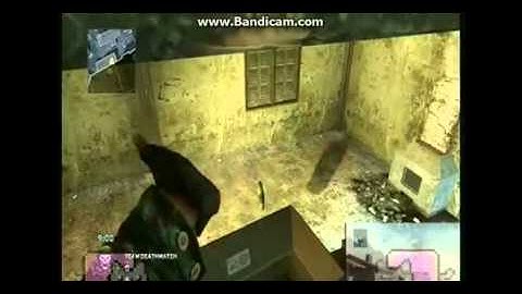 Nyan Of Duty Cat ops