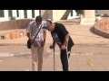 شكوى جرحى وأسر ضحايا الثورة