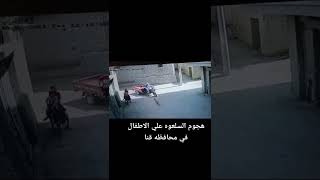 هجوم السلعوه ع الاطفال في عز النهار في محافظه قنا