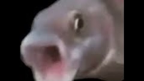 [UV-Speed PC] Doom Unity Episode 1 Speedrun in 10:27.540