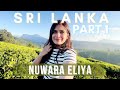 Sri Lanka Vlog - Part 1- Nuwara Eliya- Little England (Travel from India)