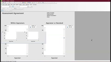 FREE Example of Attribute Agreement Analysis - #msa #leansixsigma