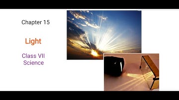 Class VII Science 11 08 2020 by Ms Bhanupriya