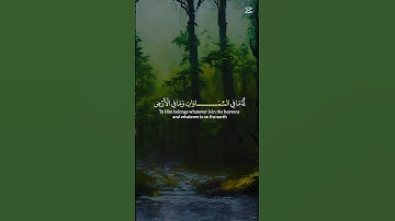 تلاوة خاشعة #القرآن_الكريم #تلاوة_عطره #راحة_نفسية #سورة_البقرة #اكسبلور