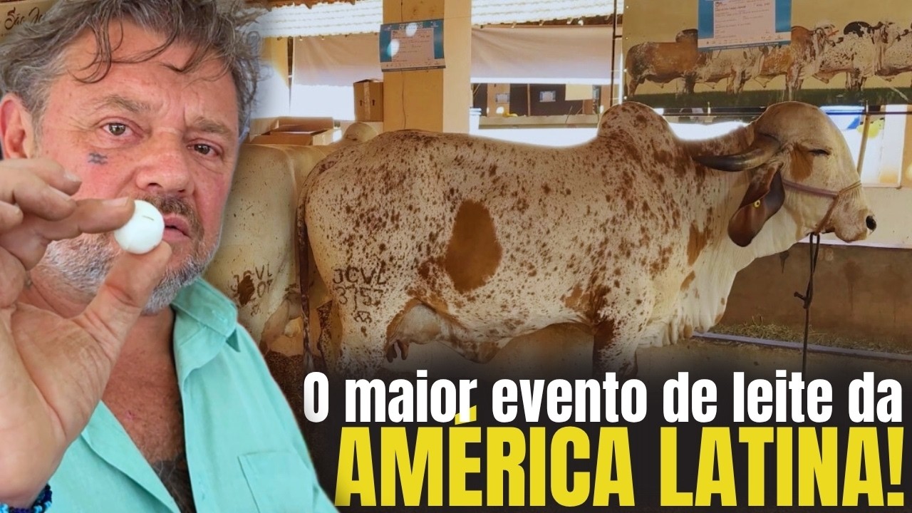 MEGA LEITE: O ENCONTRO DOS MAIORES CRIADORES DO BRASIL!