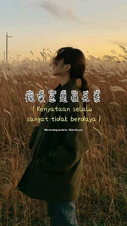 没人懂我的苦 Mei ren dong wo de ku (tidak ada yang memahami penderitaanku) - 陈舒岩 chen shu yan