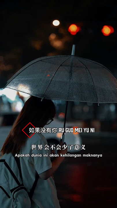 如果没有你 Ru guo mei yu ni ( Jika tanpa dirimu ) #如果没有你 #mandarinsong #music #lyrics #jo_han2011
