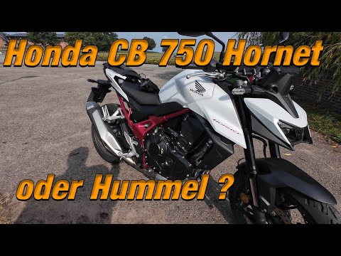 Honda CB 750 Hornet 2025 oder Hummel 🐝
