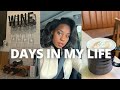 Vlog  days in my life as a lawyer influencer building new furniture fun night out