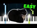 Maxwell The Cat Meme Song - EASY Piano Tutorial