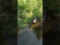 д. Быково Фурмановский район Ивановская область #алтай