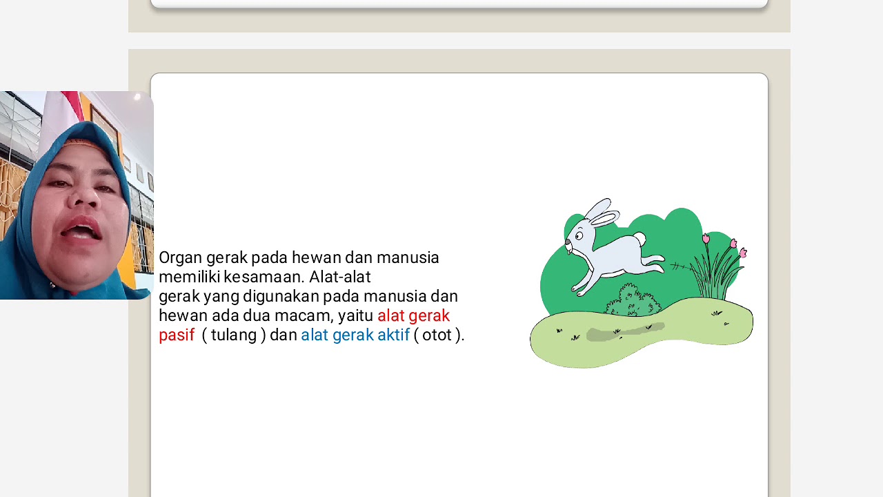 Tema 1 Alat  Gerak  Hewan  dan Manusia YouTube