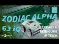 Praxistest des Zodiac iQ 63 Bio im erdmodellierten Schwimmteich mit Folienabdichtung.