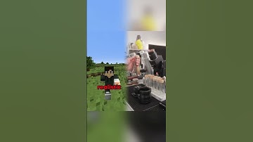 Minecraft, But Every Time I Get SCARED It Adds PIXELS…