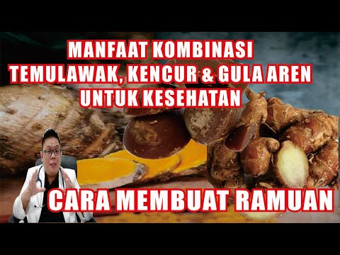 Cara Membuat Jamu Temulawak Dan Gula Aren