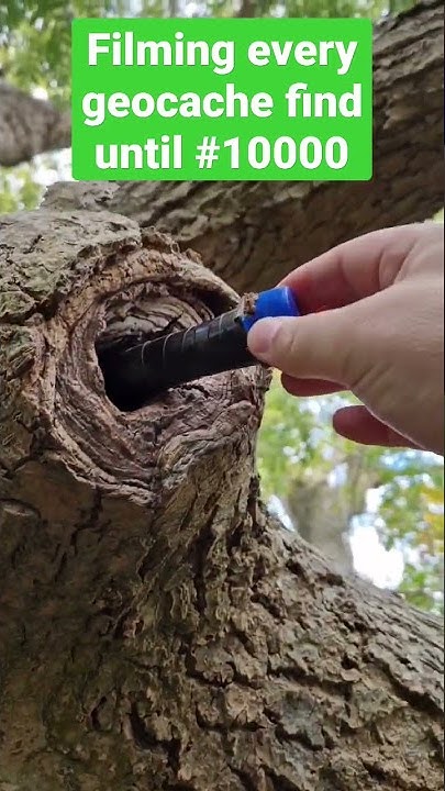 Every geocache find until #10000 - #7 / #shorts - YouTube