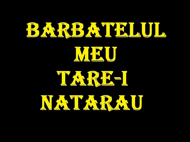 Barbatelul meu tare-i natarau class=