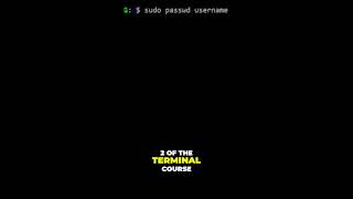 Day 6 of Becoming a Programmer: I Learned Ubuntu Terminal and It Changed EVERYTHING!
