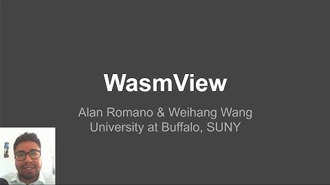 WasmView: Visual Testing for WebAssembly Applications