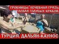 Турция🇹🇷Мармарис.💥Лучшая экскурсия! ДАЛЬЯН-КАУНОС. ЛЕЧЕБНАЯ ГРЯЗЬ. ГРОБНИЦЫ. ЛОВЛЯ ГОЛУБЫХ КРАБОВ.