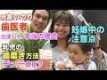 初コラボ【元あいのり歯医者】生後9ヶ月で歯医者デビュー！乳児の歯のケア、あいのり出演秘話など話し聞いて来た！