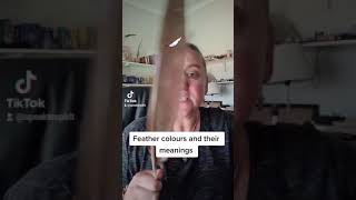 Feather Colours and Meanings