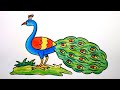 How to draw a peacock  step by step  peacock drawing  easy with colour  peacock drawing