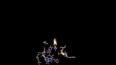 RNA-dependent RNA polymerase - Molecular dynamics simulation video