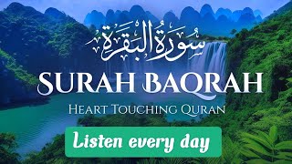 surah baqarah full | سورة البقره | maher al  muaiqly best recitation | surah mulk mishary | quran