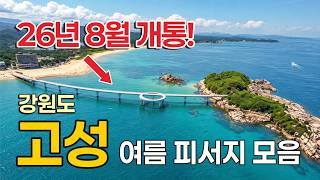 [강원도 고성] 1박2일 여름에 개통하는 "송지호 하늘다리길"부터 피서지 싹 모아왔습니다 (feat. 속초 중앙시장)