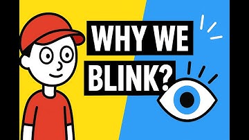 Why Do We Blink? The Surprising Science Behind Blinking Explained | Eye Health Facts