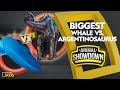 Blue Whales and Argentinosaurus Facts