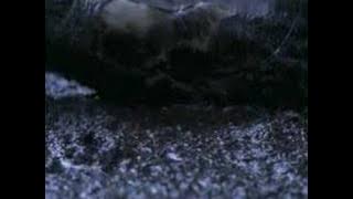Quicksand 4