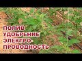 Полив, удобрение, электропроводность для сдерживания вегетативного роста (03-08-2018)