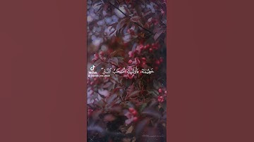 ياسر الدوسري | سورة البقرة | الاية 81-82 #القرآن_الكريم #quran #سورة_البقرة #ياسر_الدوسري #islam