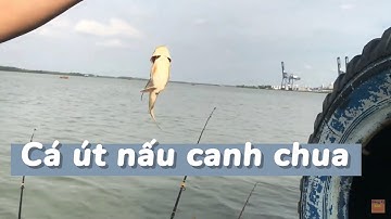 Giải trí sông nước - Tập 31 - Điểm câu sông huyện Nhà Bè toàn cá Út mập ú | Giải trí NTC