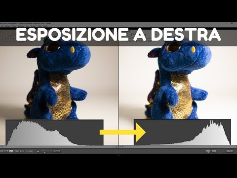 Video: Cos'è L'esposizione?